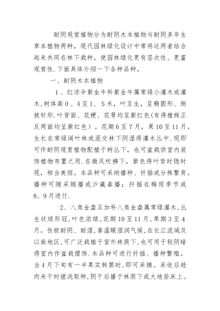 耐阴植物在园林绿化中的应用