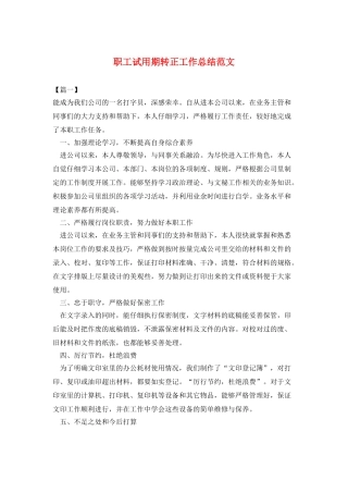 职工试用期转正工作总结范文