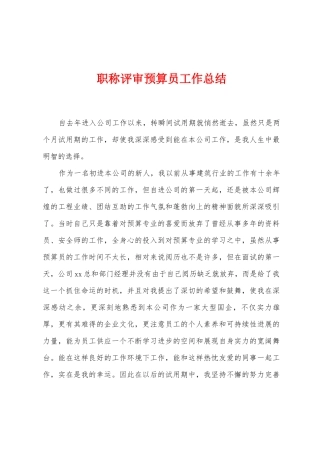 职称评审预算员工作总结