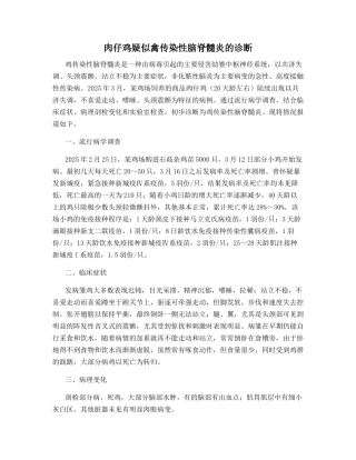 肉仔鸡疑似禽传染性脑脊髓炎的诊断