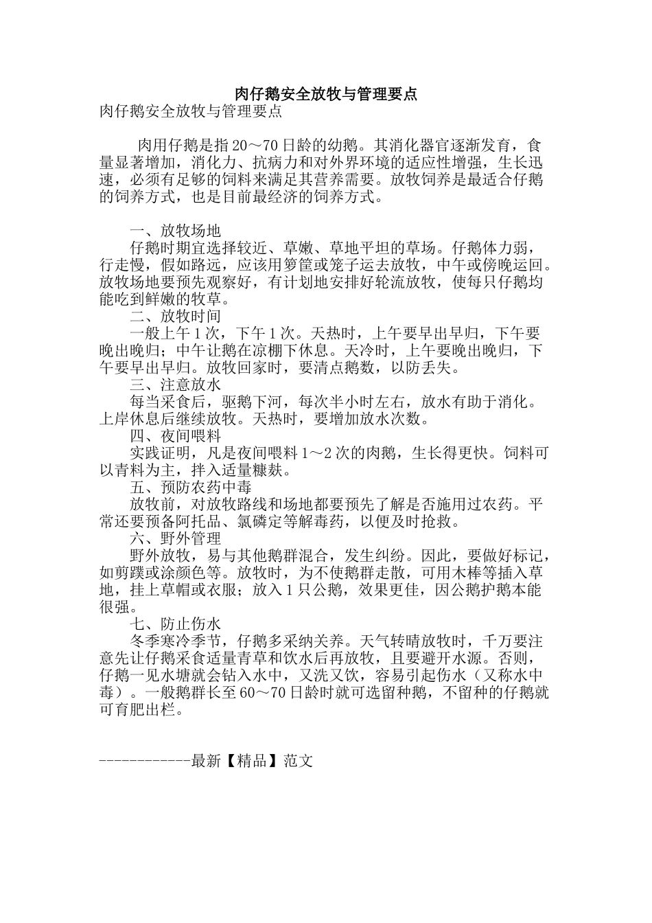 肉仔鹅安全放牧与管理要点_第1页