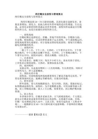 肉仔鹅安全放牧与管理要点