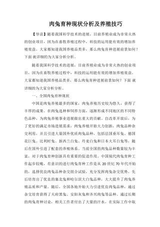 肉兔育种现状分析及养殖技巧