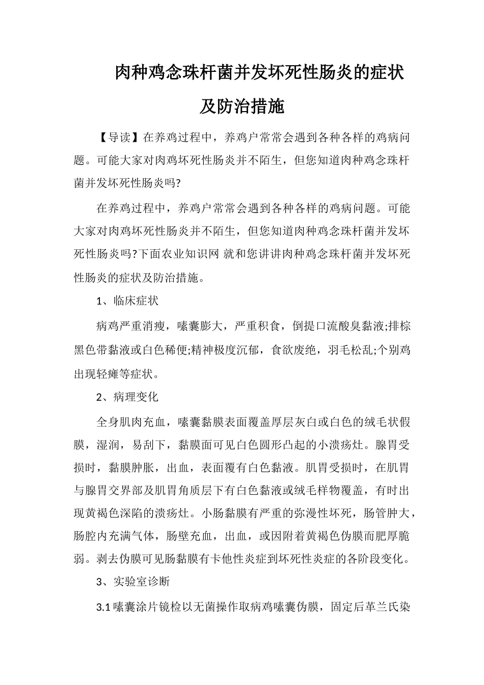 肉种鸡念珠杆菌并发坏死性肠炎的症状及防治措施_第1页