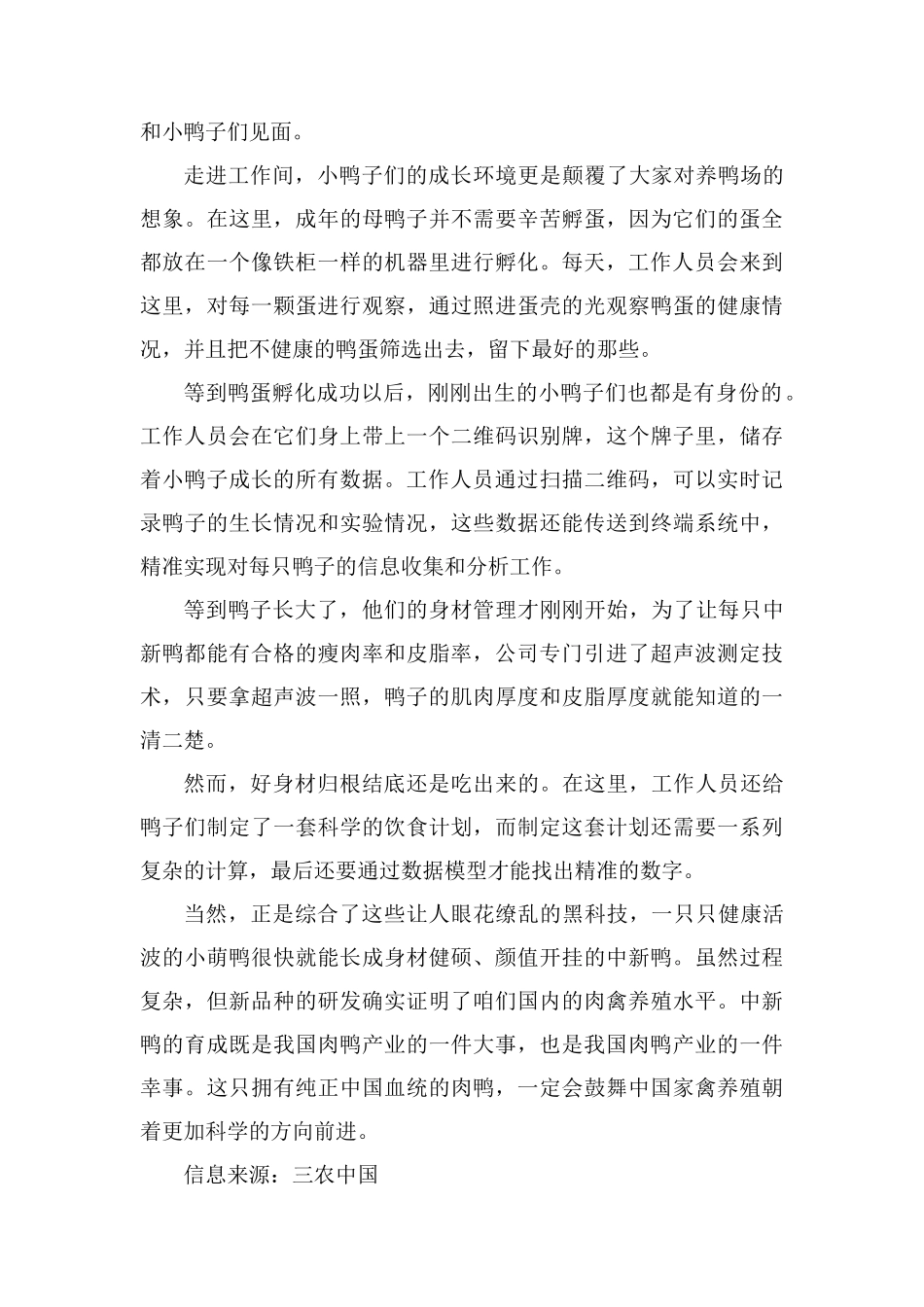 肉鸭新品种：中新白羽肉鸭_第2页