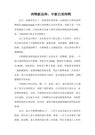 肉鸭新品种：中新白羽肉鸭