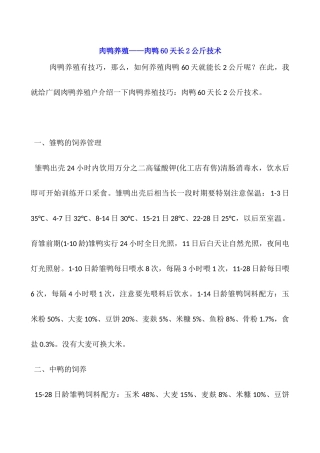 肉鸭养殖——肉鸭60天长2公斤技术