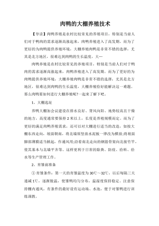 肉鸭的大棚养殖技术