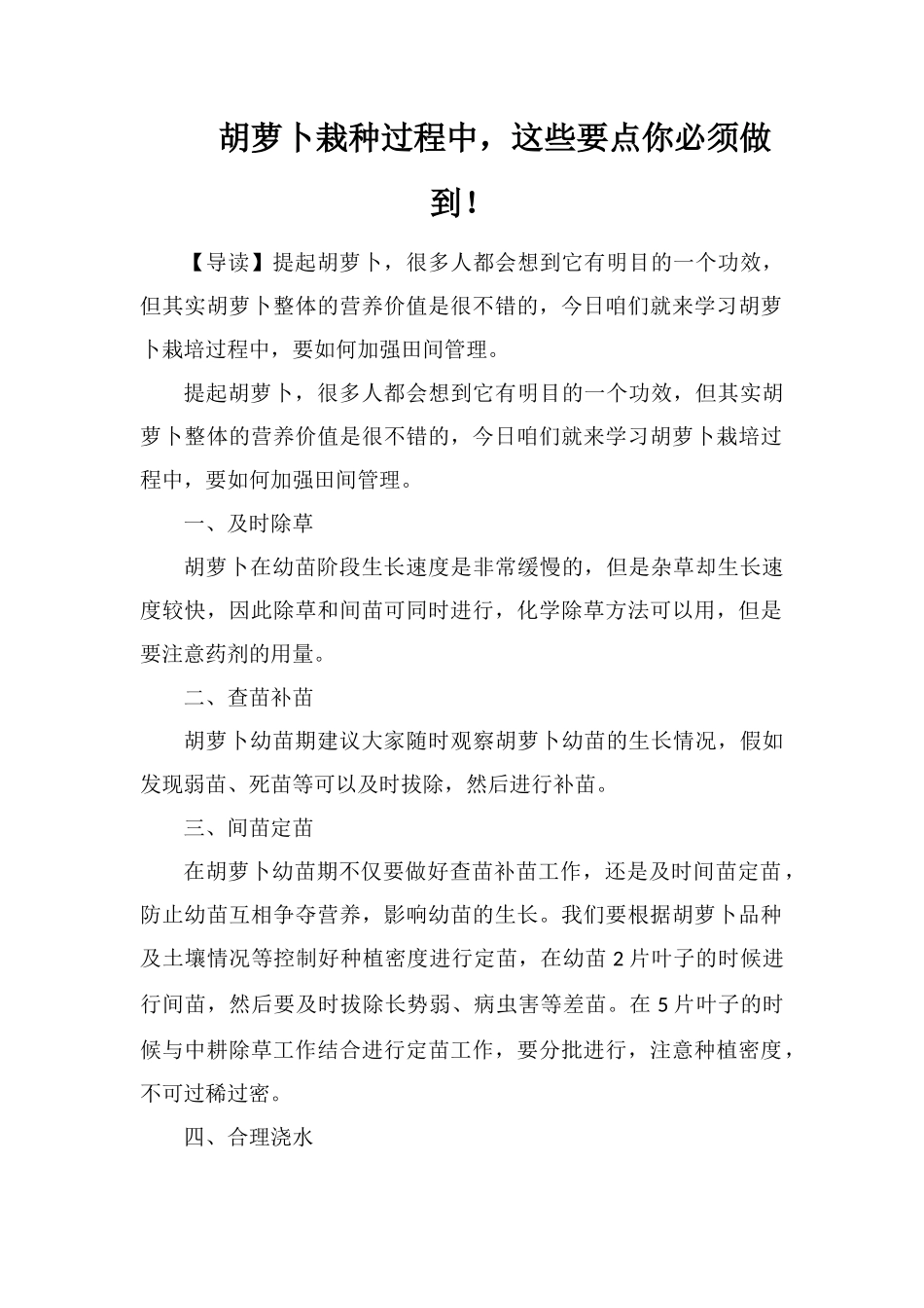 胡萝卜栽种过程中-这些要点你必须做到!_第1页