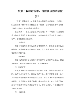 胡萝卜栽种过程中-这些要点你必须做到!