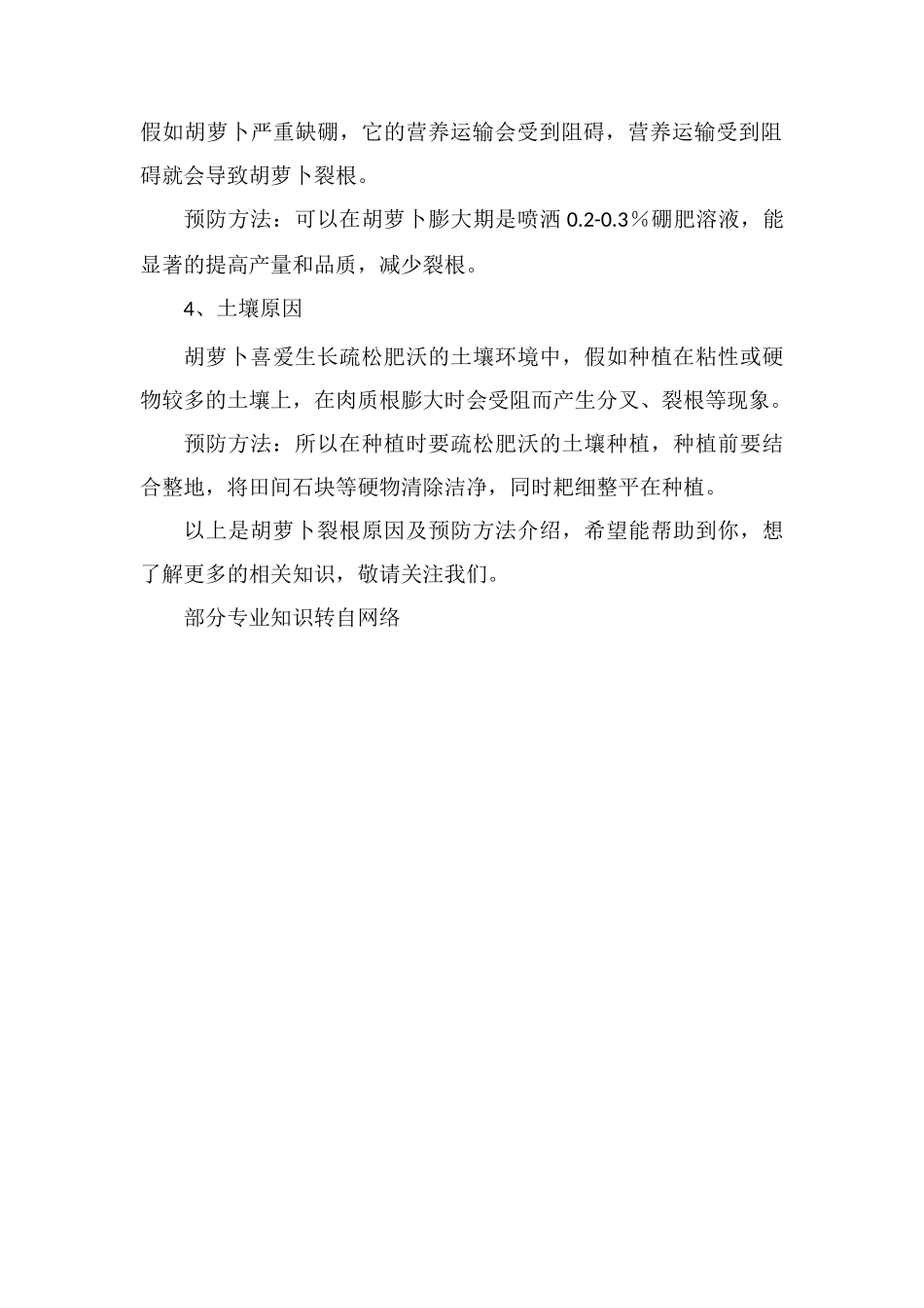 胡萝卜裂根原因及预防方法_第2页