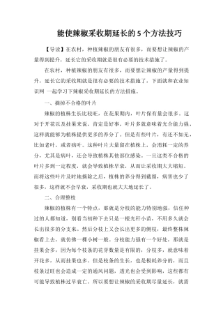 能使辣椒采收期延长的5个方法技巧