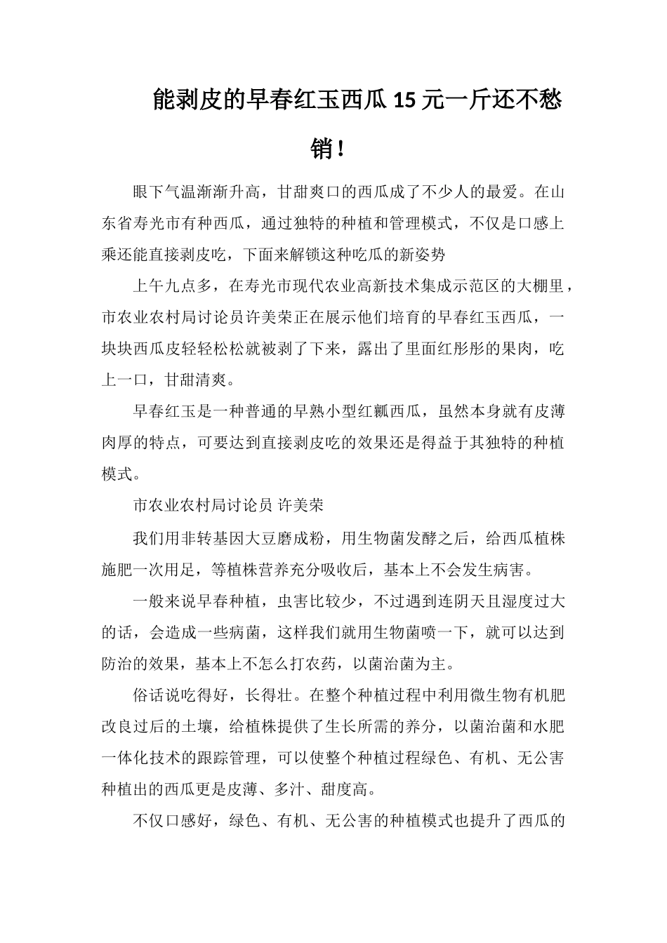 能剥皮的早春红玉西瓜15元一斤还不愁销!_第1页