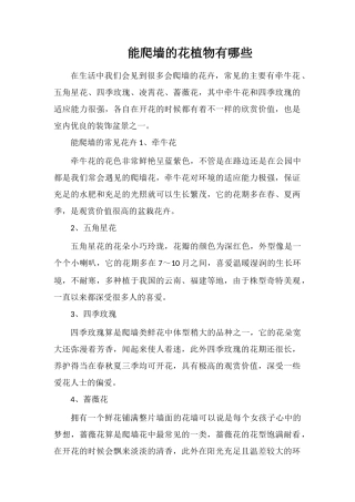 能爬墙的花植物有哪些