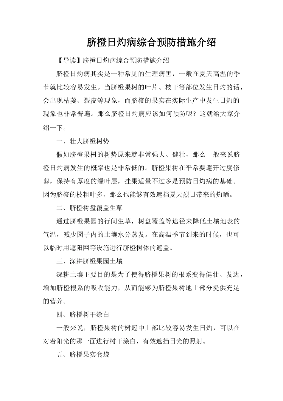 脐橙日灼病综合预防措施介绍_第1页