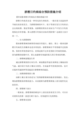 脐橙日灼病综合预防措施介绍