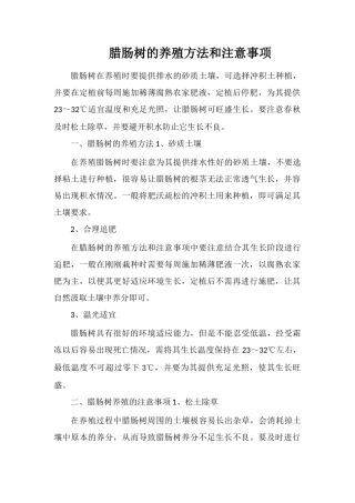 腊肠树的养殖方法和注意事项