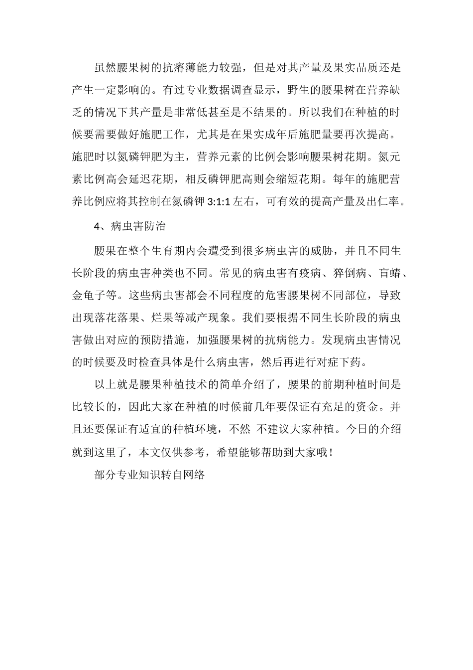 腰果的种植技术_第2页