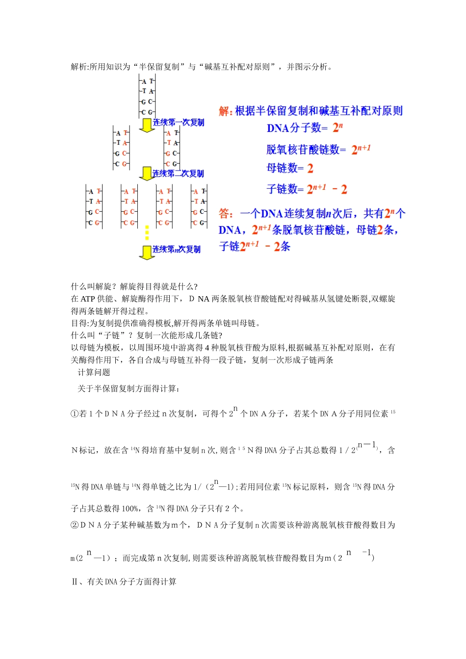 自制DNA复制知识点_第3页