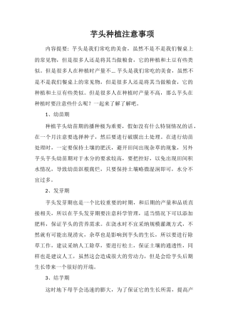 芋头种植注意事项