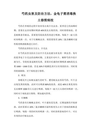 芍药虫害及防治方法-金龟子需消毒换土修剪病枝