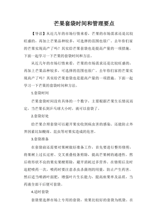 芒果套袋时间和管理要点