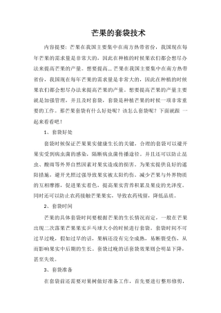 芒果的套袋技术