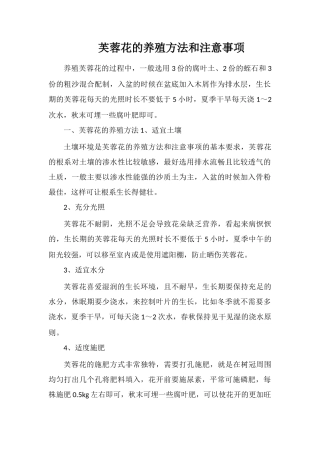芙蓉花的养殖方法和注意事项