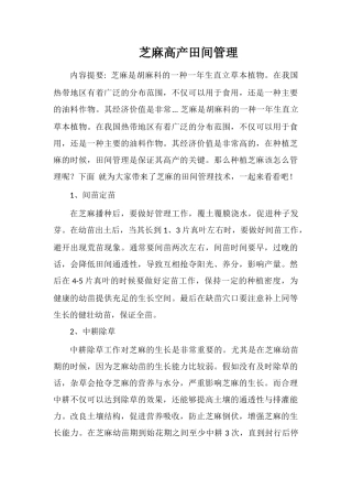 芝麻高产田间管理