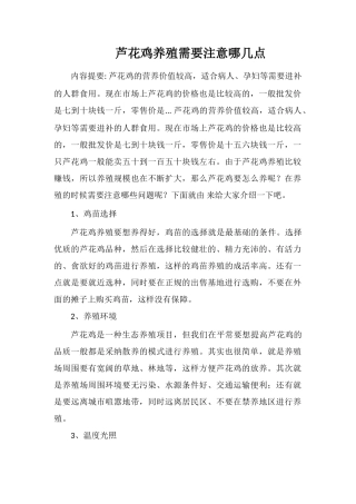 芦花鸡养殖需要注意哪几点