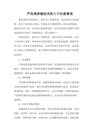 芦花鸡养殖技术的八个注意事项