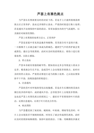 芦荟上有黑色斑点
