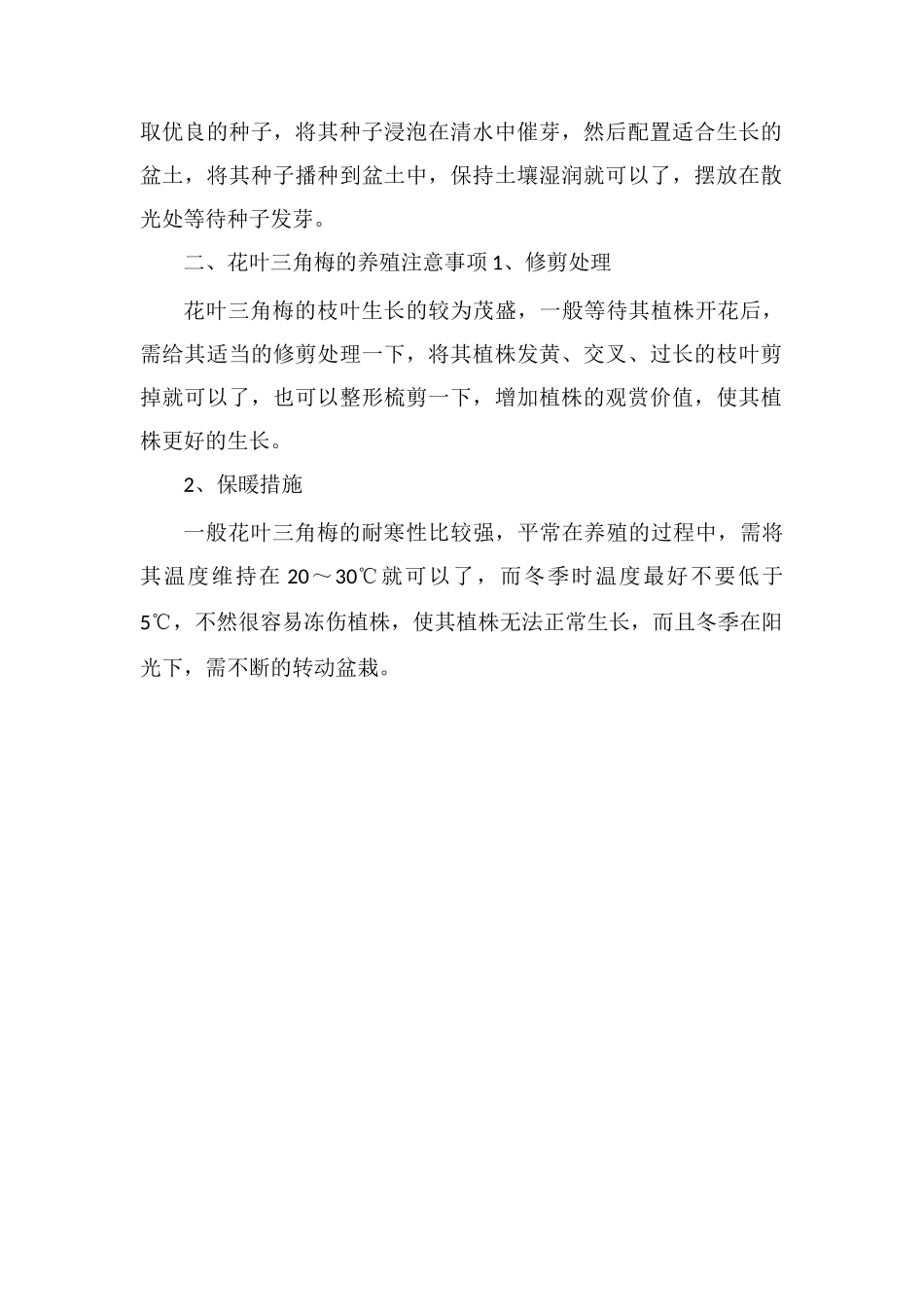 花叶三角梅的养殖方法和注意事项-浇水确保土壤湿润_第2页