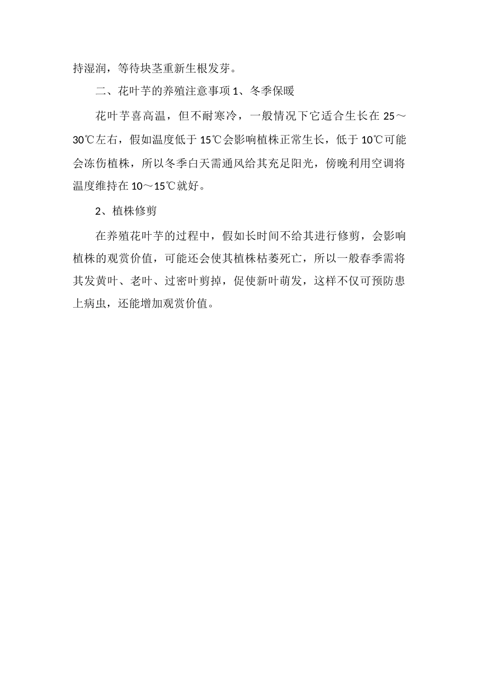 花叶芋养殖方法和注意事项_第2页