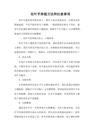 花叶芋养殖方法和注意事项