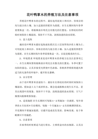 花叶鸭掌木的养殖方法及注意事项