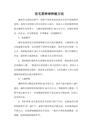 花毛茛种球种植方法