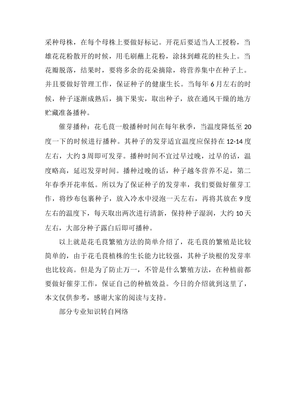 花毛茛的繁殖方法_第2页