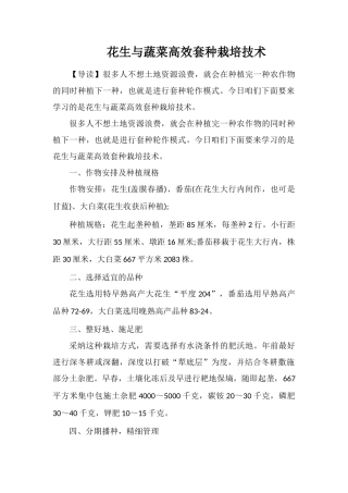 花生与蔬菜高效套种栽培技术