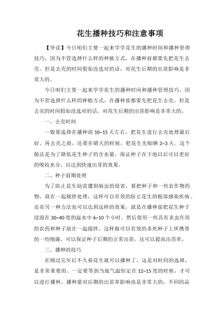 花生播种技巧和注意事项