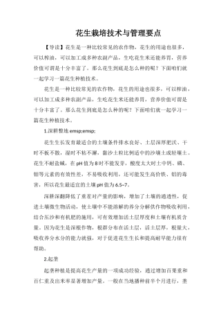 花生栽培技术与管理要点