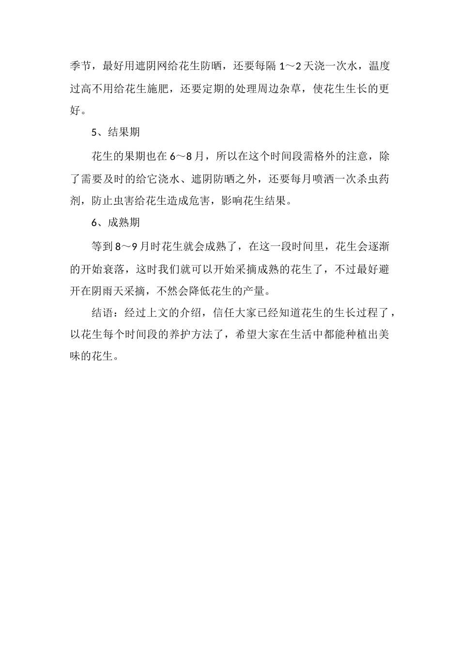 花生的生长过程记录-从播种到成株的养护方法_第2页