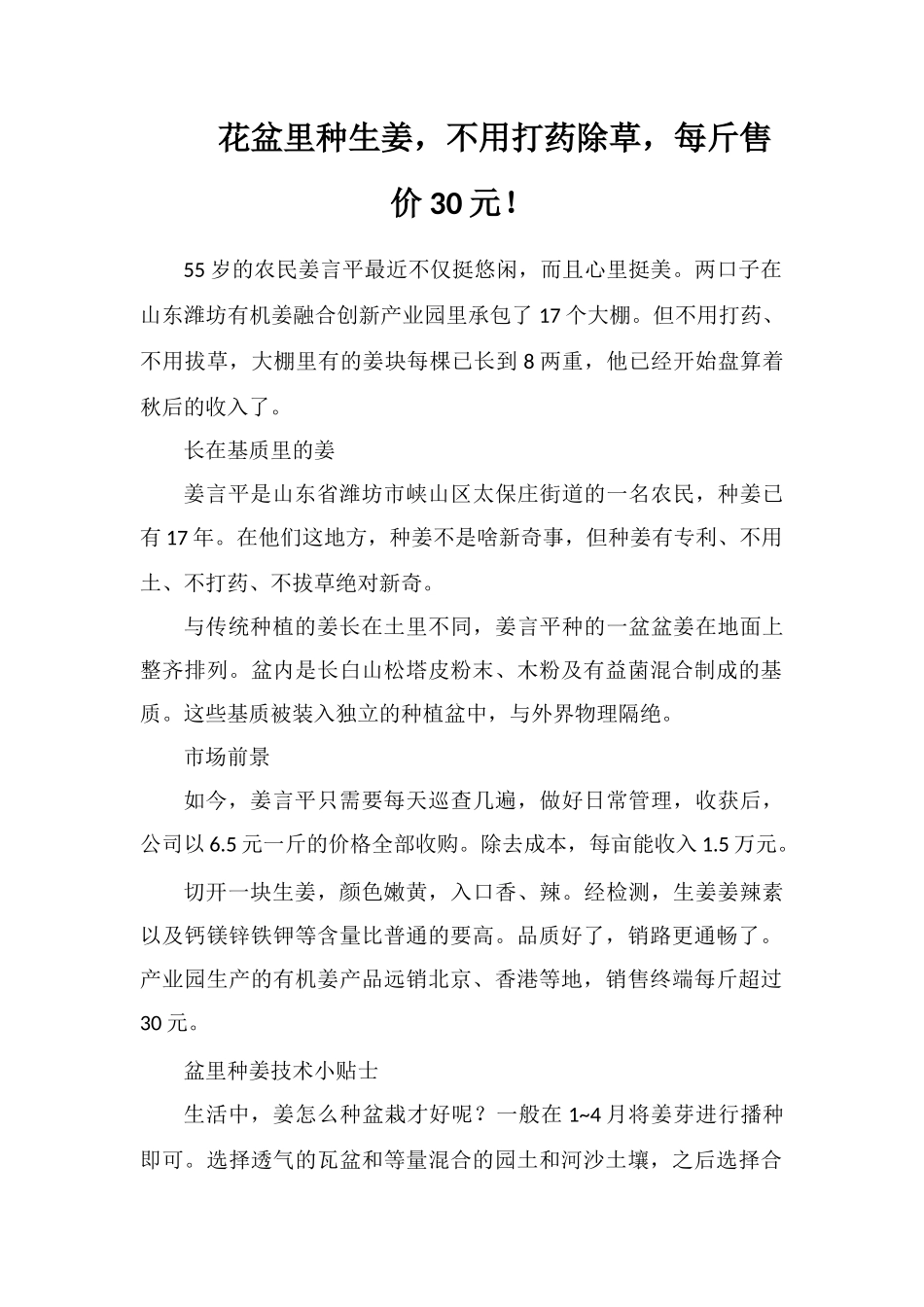花盆里种生姜-不用打药除草-每斤售价30元!_第1页