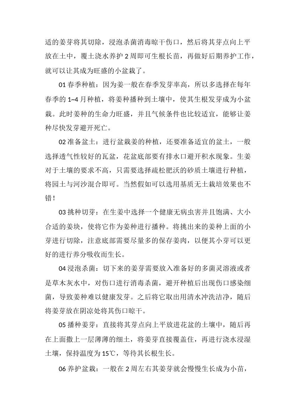 花盆里种生姜-不用打药除草-每斤售价30元!_第2页