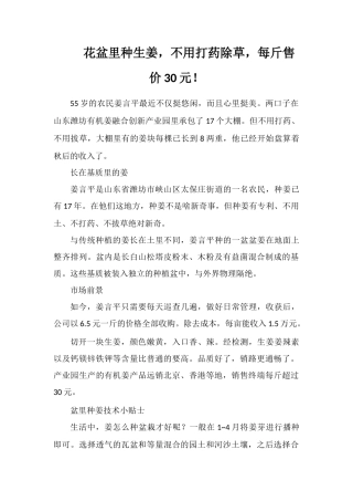 花盆里种生姜-不用打药除草-每斤售价30元!