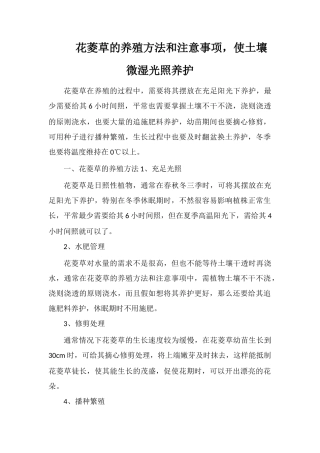 花菱草的养殖方法和注意事项-使土壤微湿光照养护