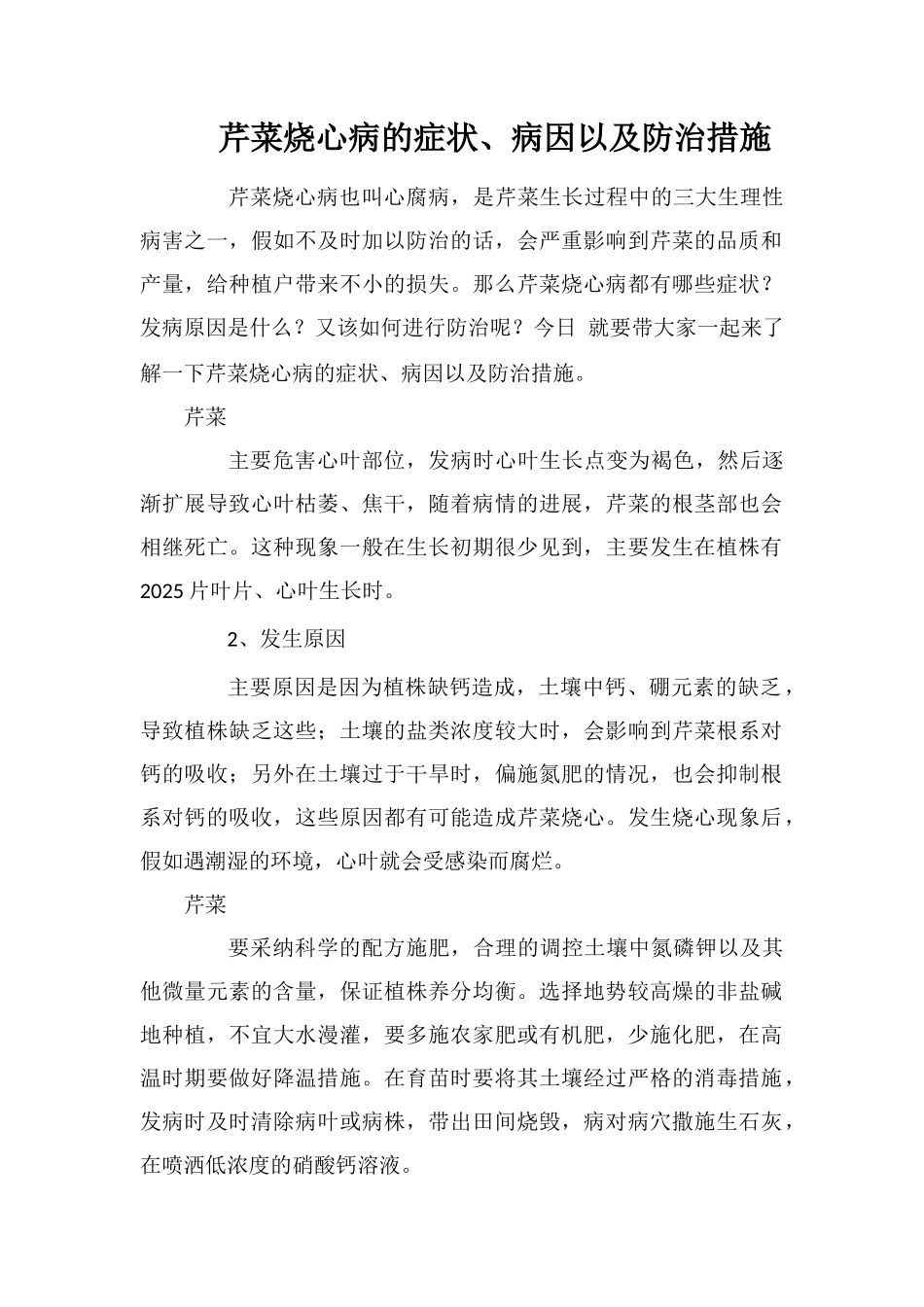 芹菜烧心病的症状、病因以及防治措施_第1页