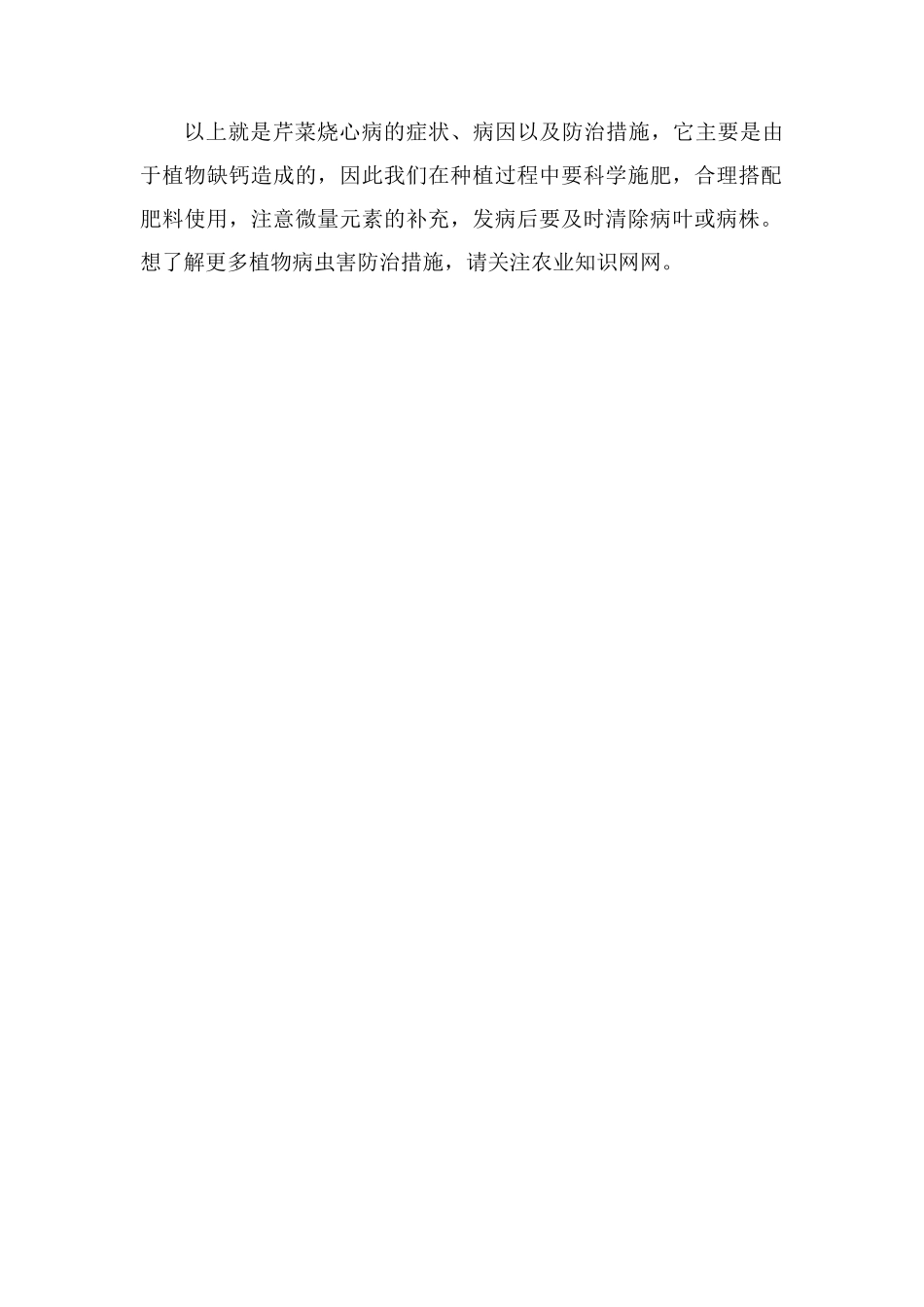 芹菜烧心病的症状、病因以及防治措施_第2页