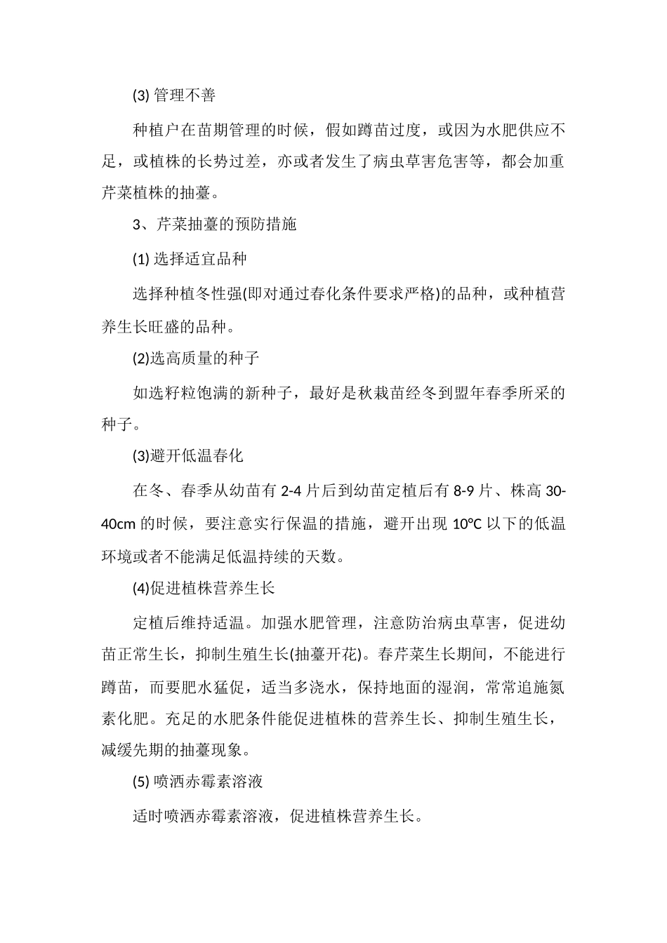 芹菜抽薹的症状、原因及预防措施_第2页