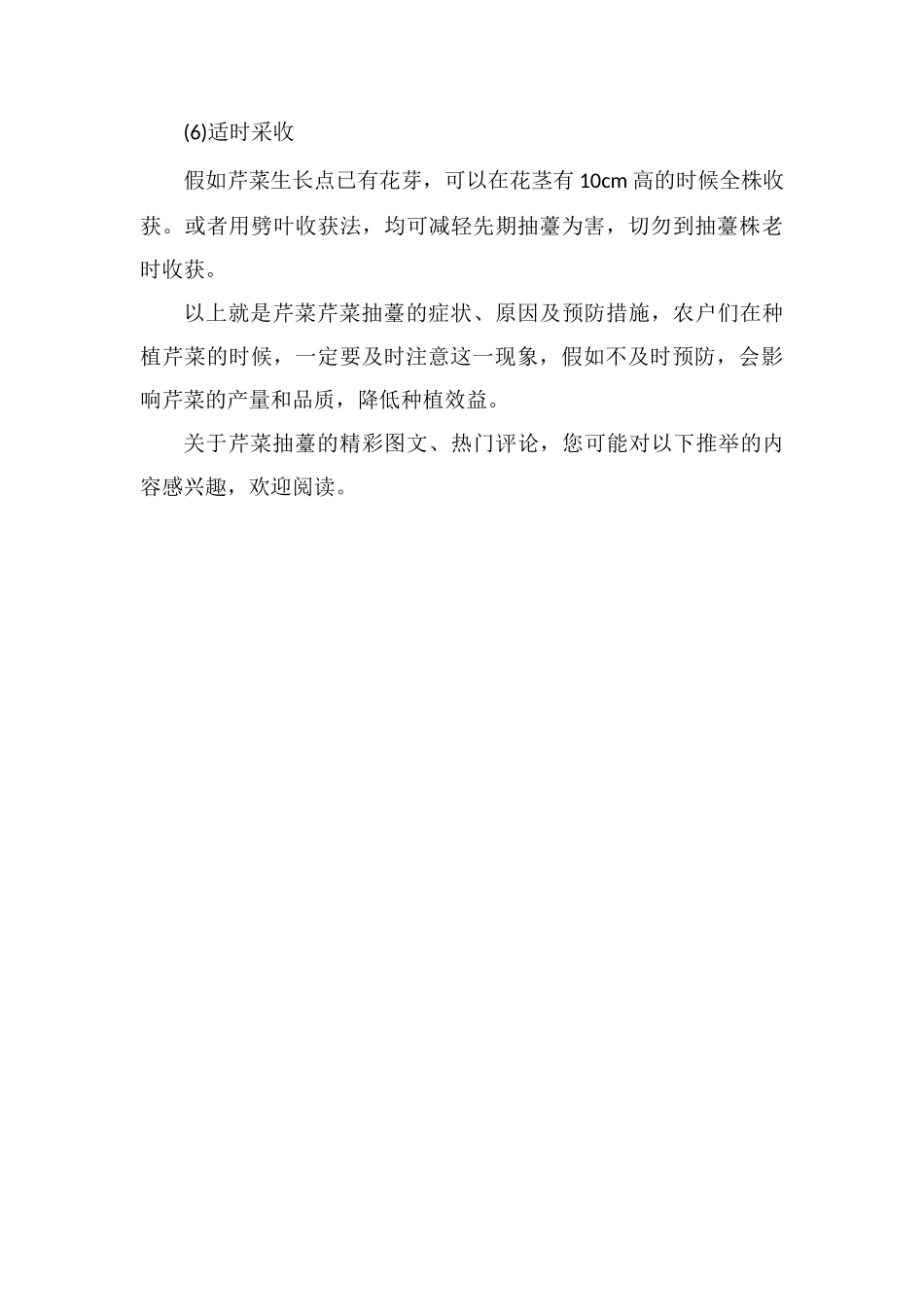 芹菜抽薹的症状、原因及预防措施_第3页